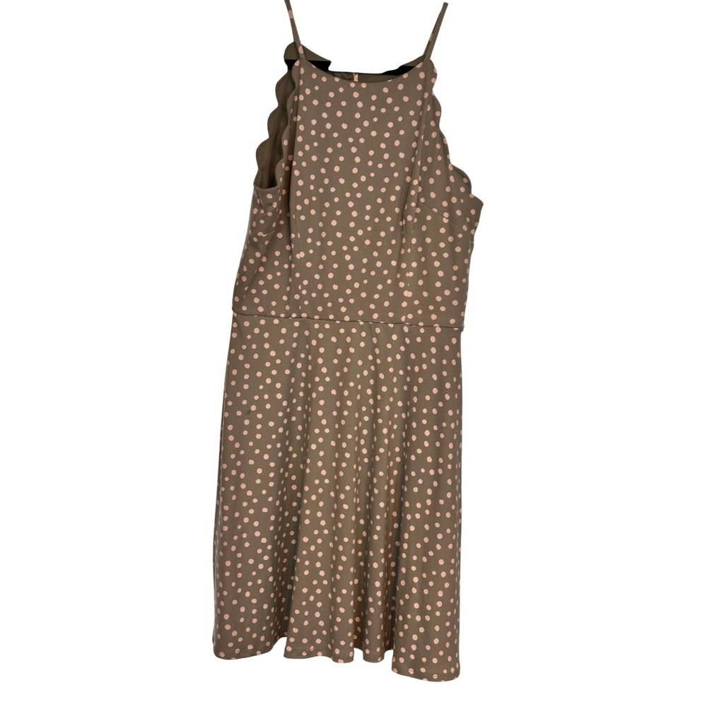 BCX Dress Womens Medium Sage Green Polka Dot Scallop Neck Fit & Flare Mini Dress